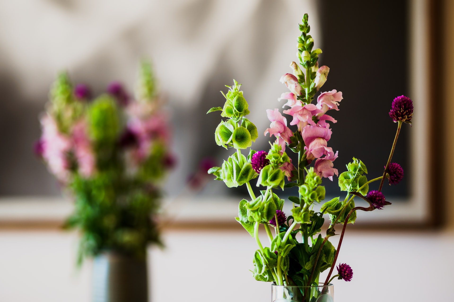 Bells of Ireland Flower Meaning, Symbolism, and Colors Pansy Maiden